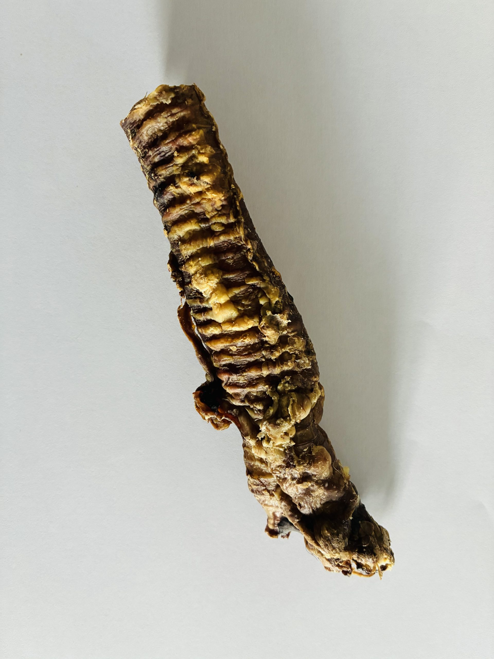 Trachée d'agneau – Image 2