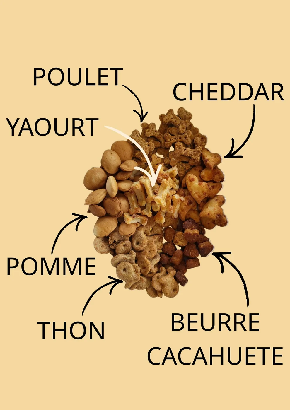 Pack dégustation biscuits – Image 2